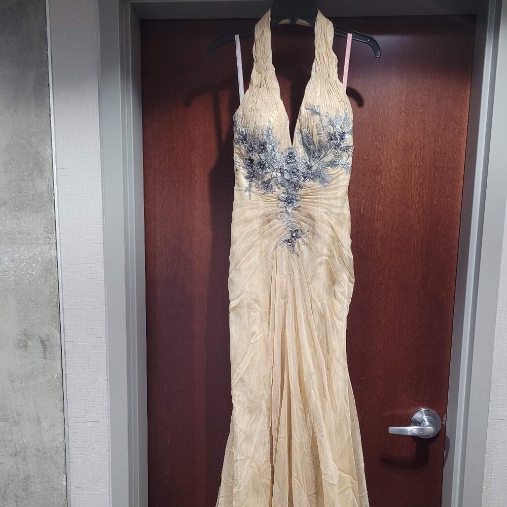 Blush Prom 9368 Size 2 Champagne Prom Dress - Picture 5 of 12